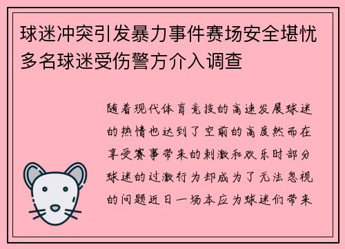 球迷冲突引发暴力事件赛场安全堪忧多名球迷受伤警方介入调查